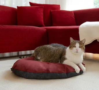 fauteuil avec Couchage rouge pour chien- chat ou pour chatte avec